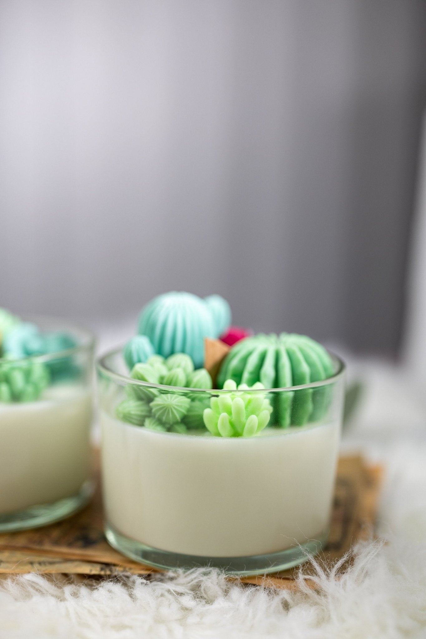 Large Glass Succulent Cacti Candle, Succulent Cacti Terrarium Garden Gift,Cactus Blossom Scent,Candle for Plant Lover, Gift for Gardener.
